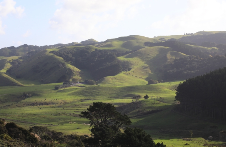 Farm Landscape Auckland 
